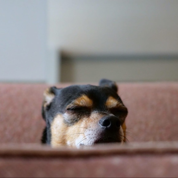 Meet your Posher. - Picture 6 of 7